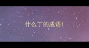 什么丁的成语