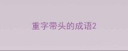重字带头的成语