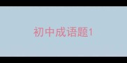 初中成语题