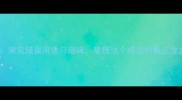 仆仆风尘常见错误用法与趣味掌握这个成语的真正含义和用法