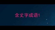 含丈字成语