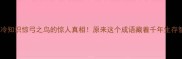 成语冷知识惊弓之鸟的惊人真相原来这个成语藏着千年生存智慧