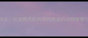 十二生肖头面成语动物全从龙腾虎跃到鸡鸣狗盗的动物智慧与寓意附详细释义