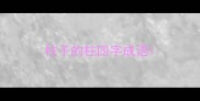 柱子的柱四字成语