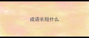成语长短什么