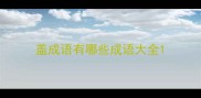 盖成语有哪些成语大全