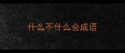 什么不什么会成语