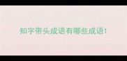 知字带头成语有哪些成语