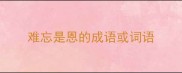 难忘是恩的成语或词语