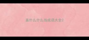 直什么什么当成语大全