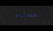 什么之罪成语