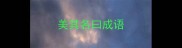 美其名曰成语