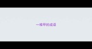 一堆甲的成语