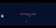 木朽蛀什么成语