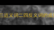 一三近义词二四反义词的成语
