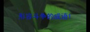 形容斗争的成语