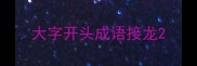 大字开头成语接龙