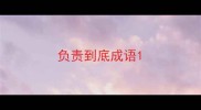 负责到底成语