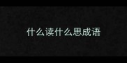 什么读什么思成语