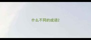 什么不同的成语
