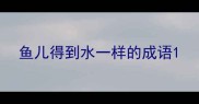鱼儿得到水一样的成语