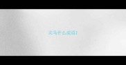 买马什么成语