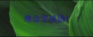 难念字成语