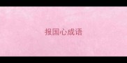 报国心成语