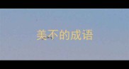 美不的成语