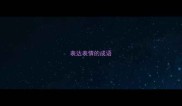 表达表情的成语