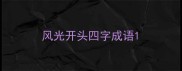 风光开头四字成语