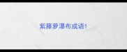 紫藤萝瀑布成语