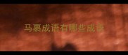 马裹成语有哪些成语
