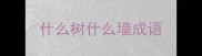 什么树什么墙成语