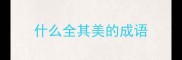 什么全其美的成语