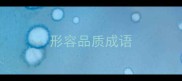 形容品质成语