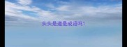 头头是道是成语吗