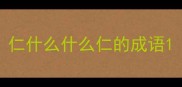 仁什么什么仁的成语