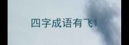 四字成语有飞