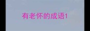 有老怀的成语