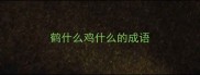 鹤什么鸡什么的成语