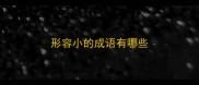 形容小的成语有哪些
