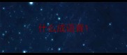 什么成语青