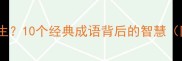 如何用成语尺丈量人生10个经典成语背后的智慧附职场情感学习场景