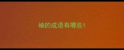 袖的成语有哪些