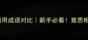 避坑指南10组高频错用成语对比新手必看意思相近成语辨析全攻略
