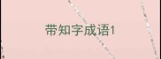 带知字成语
