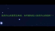 放虎归山的意思及典故如何避免陷入放虎归山的陷阱