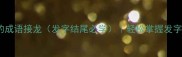 爆款30个西开头的成语接龙发字结尾必学轻松掌握发字成语的隐藏用法