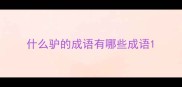 什么驴的成语有哪些成语
